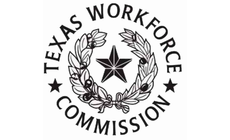 TWC 1_Consulting_Workforce Development_Literacy_Gap Years
